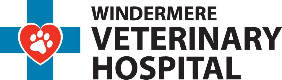 Windermere Vet Hospital – Edmonton